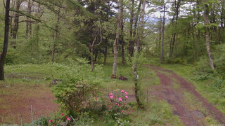 長野県菅平高原 ゆたか山荘 坂上 2026/05/21 15:15