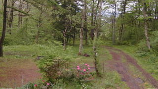 長野県菅平高原 ゆたか山荘 坂上 2026/05/21 15:30