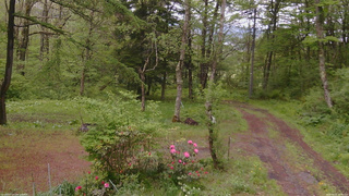 長野県菅平高原 ゆたか山荘 坂上 2026/05/21 15:45