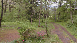長野県菅平高原 ゆたか山荘 坂上 2026/05/21 16:15