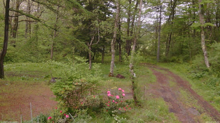 長野県菅平高原 ゆたか山荘 坂上 2026/05/21 17:15