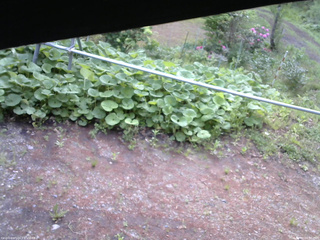 長野県菅平高原 ゆたか山荘 駐車場 2026/05/22 06:30
