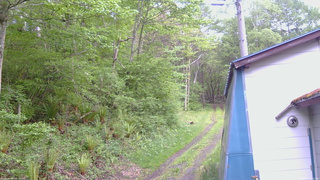 長野県菅平高原 ゆたか山荘 ゆたか山荘 2026/05/22 05:30