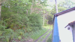 長野県菅平高原 ゆたか山荘 ゆたか山荘 2026/05/22 05:45