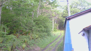 長野県菅平高原 ゆたか山荘 ゆたか山荘 2026/05/22 06:00