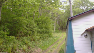 長野県菅平高原 ゆたか山荘 ゆたか山荘 2026/05/22 12:30