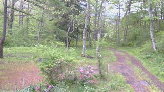 長野県菅平高原 ゆたか山荘 坂上 2026/05/22 05:30