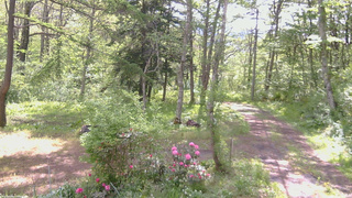 長野県菅平高原 ゆたか山荘 坂上 2026/05/22 08:15