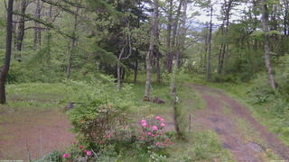 長野県菅平高原 ゆたか山荘 坂上 2026/05/22 08:45