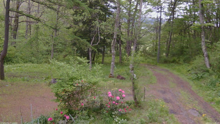 長野県菅平高原 ゆたか山荘 坂上 2026/05/22 10:00