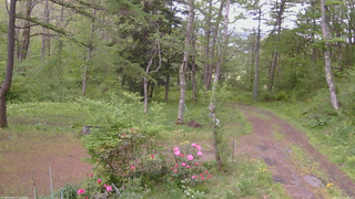長野県菅平高原 ゆたか山荘 坂上 2026/05/22 10:15