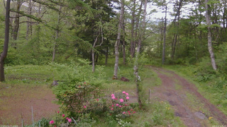 長野県菅平高原 ゆたか山荘 坂上 2026/05/22 10:30