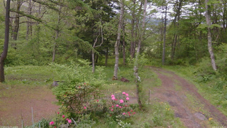 長野県菅平高原 ゆたか山荘 坂上 2026/05/22 10:45