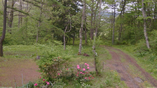 長野県菅平高原 ゆたか山荘 坂上 2026/05/22 11:00