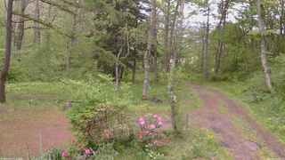 長野県菅平高原 ゆたか山荘 坂上 2026/05/22 11:30