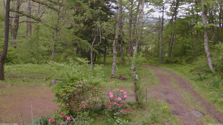 長野県菅平高原 ゆたか山荘 坂上 2026/05/22 11:45