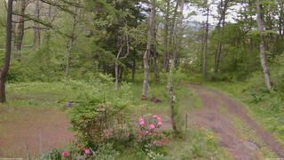 長野県菅平高原 ゆたか山荘 坂上 2026/05/22 12:00