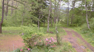 長野県菅平高原 ゆたか山荘 坂上 2026/05/22 12:30