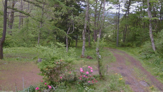 長野県菅平高原 ゆたか山荘 坂上 2026/05/22 13:15