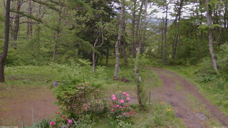 長野県菅平高原 ゆたか山荘 坂上 2026/05/22 14:30