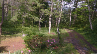 長野県菅平高原 ゆたか山荘 坂上 2026/05/22 15:15