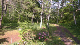 長野県菅平高原 ゆたか山荘 坂上 2026/05/22 15:30
