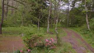 長野県菅平高原 ゆたか山荘 坂上 2026/05/22 16:45