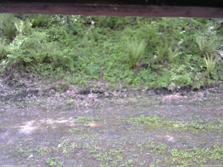 長野県菅平高原 ゆたか山荘 東側(坂下) 2026/05/23 12:45