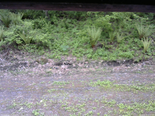長野県菅平高原 ゆたか山荘 東側(坂下) 2026/05/23 15:15