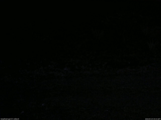 長野県菅平高原 ゆたか山荘 東側(坂下) 2026/05/23 19:15