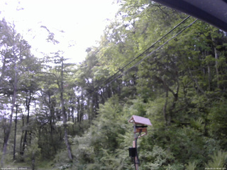 長野県菅平高原 ゆたか山荘 温度計 2026/05/23 08:45