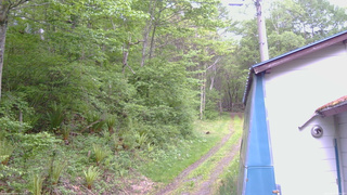 長野県菅平高原 ゆたか山荘 ゆたか山荘 2026/05/23 05:30