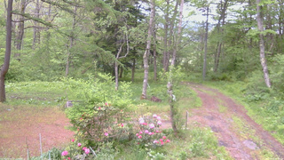 長野県菅平高原 ゆたか山荘 坂上 2026/05/23 06:00