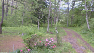長野県菅平高原 ゆたか山荘 坂上 2026/05/23 06:15