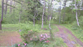 長野県菅平高原 ゆたか山荘 坂上 2026/05/23 06:30