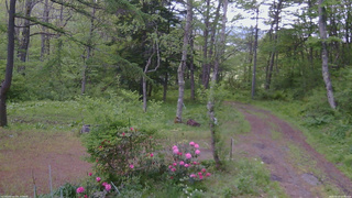 長野県菅平高原 ゆたか山荘 坂上 2026/05/23 07:45