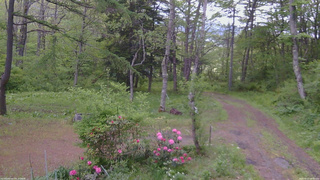 長野県菅平高原 ゆたか山荘 坂上 2026/05/23 08:00