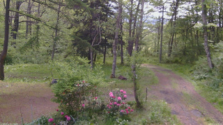 長野県菅平高原 ゆたか山荘 坂上 2026/05/23 08:45
