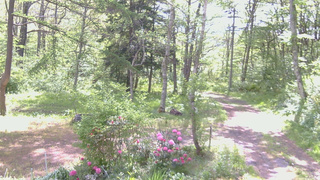 長野県菅平高原 ゆたか山荘 坂上 2026/05/23 09:00