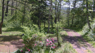 長野県菅平高原 ゆたか山荘 坂上 2026/05/23 09:45