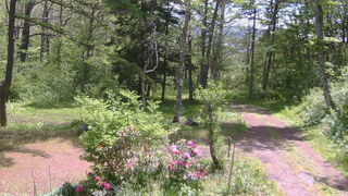 長野県菅平高原 ゆたか山荘 坂上 2026/05/23 10:30