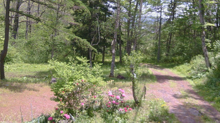 長野県菅平高原 ゆたか山荘 坂上 2026/05/23 11:30