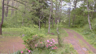 長野県菅平高原 ゆたか山荘 坂上 2026/05/23 15:15