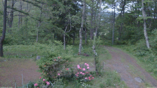 長野県菅平高原 ゆたか山荘 坂上 2026/05/23 19:00
