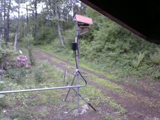 長野県菅平高原 ゆたか山荘 南側 2026/05/24 05:30