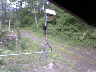 長野県菅平高原 ゆたか山荘 南側 2026/05/24 15:00