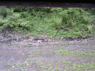 長野県菅平高原 ゆたか山荘 東側(坂下) 2026/05/24 08:45