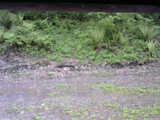 長野県菅平高原 ゆたか山荘 東側(坂下) 2026/05/24 13:00