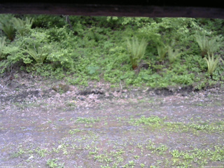 長野県菅平高原 ゆたか山荘 東側(坂下) 2026/05/24 15:15