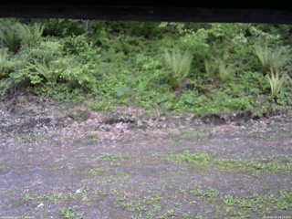 長野県菅平高原 ゆたか山荘 東側(坂下) 2026/05/24 18:15